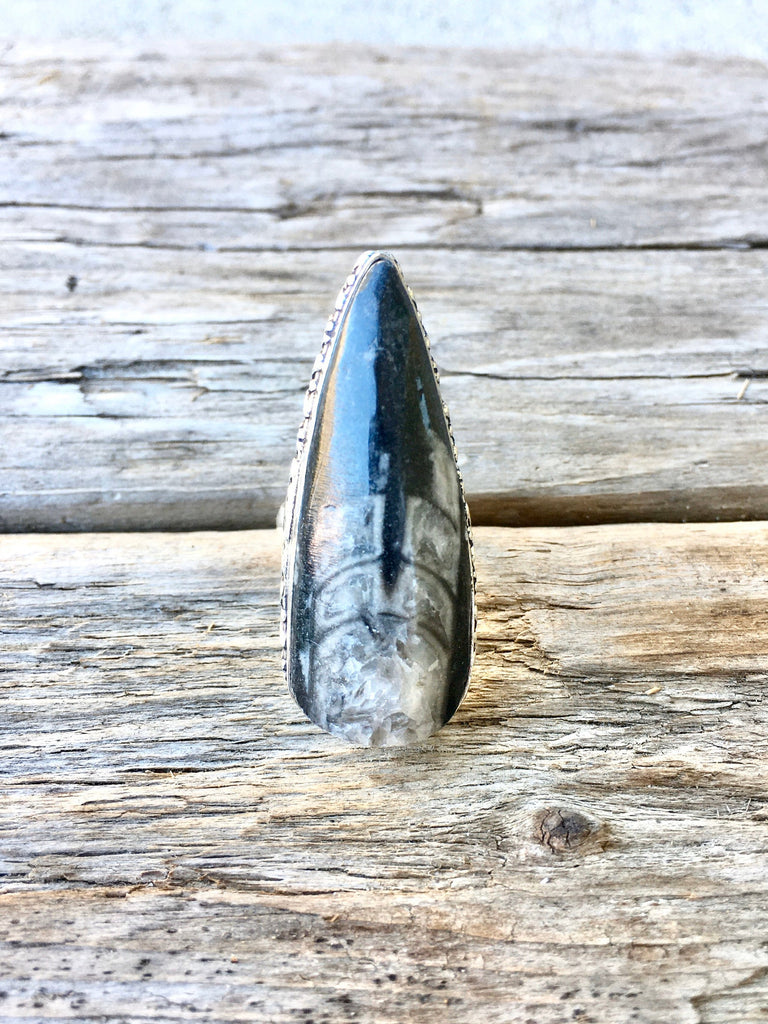 Orthoceras Fossil Stone Ring - Size 6.5